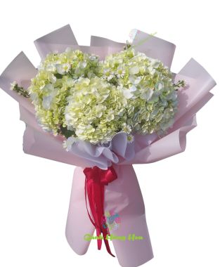 Bó hoa tươi - Hoa tú cầu Valentine 14/2