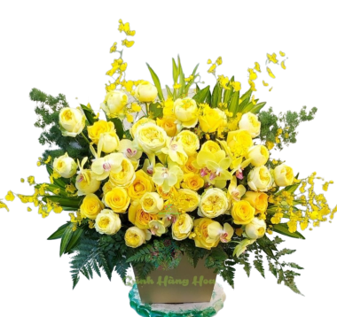 Hộp hoa chúc mừng sinh nhật 70
