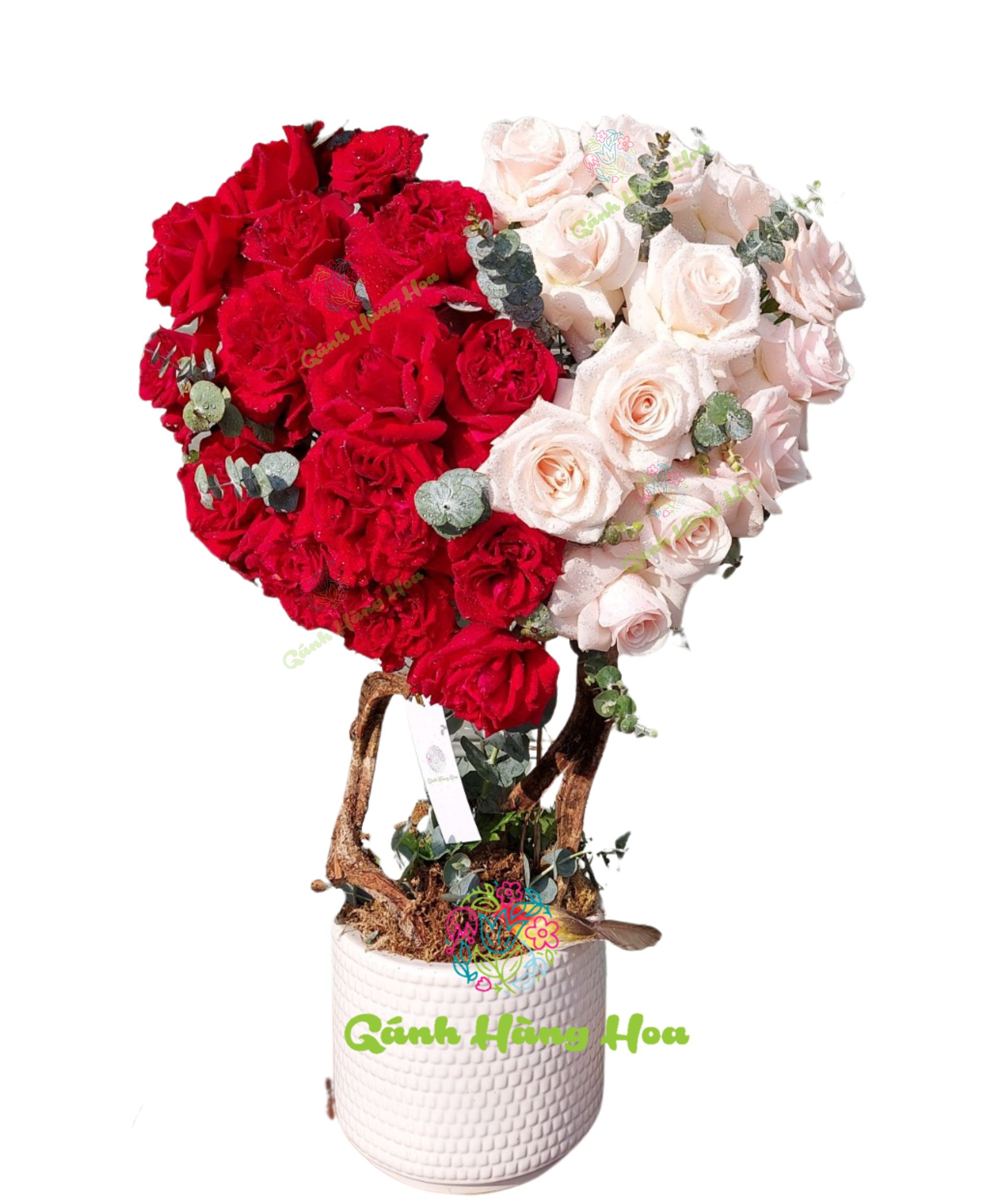 Hoa hồng Valentine 14/2 - Hai nửa yêu thương