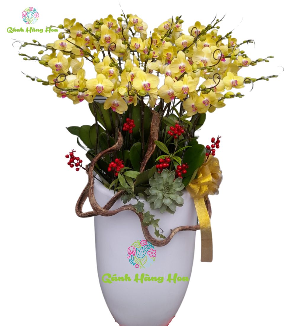 Hoa lan nhà giáo việt nam